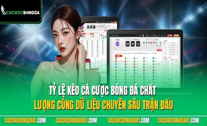 Cá Độ Bóng Đá Online