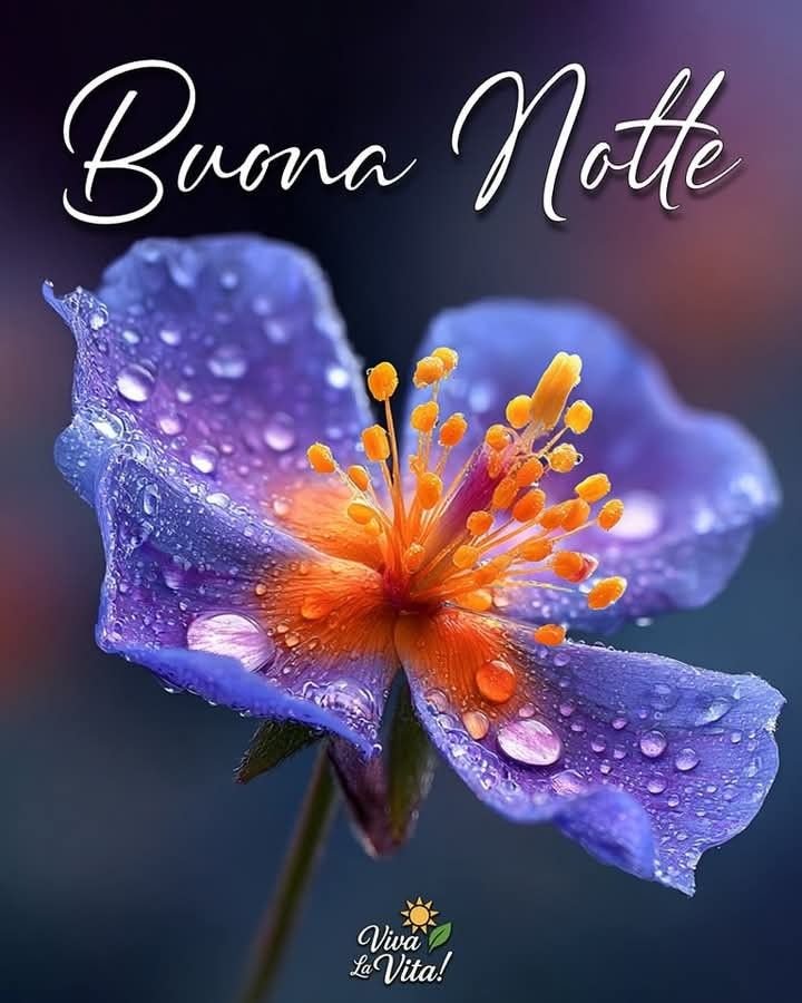 a domani immagini buonanotte