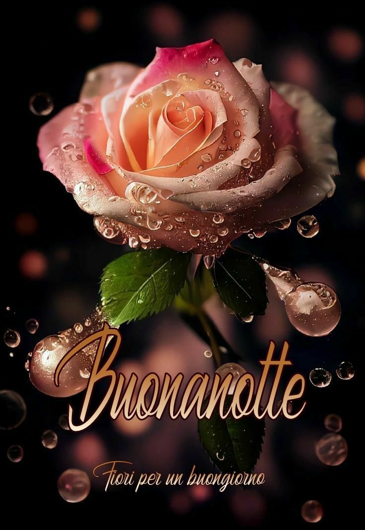 belle immagini org buonanotte
