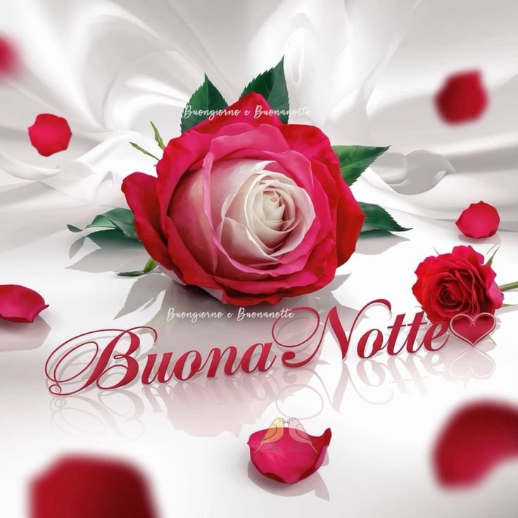 buonanotte a domani nuovo