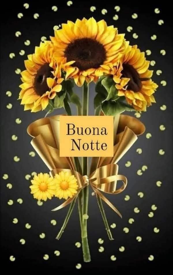 buonanotte a domani ragazze