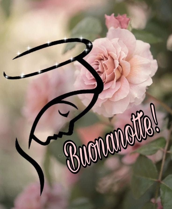 buonanotte allitalia live