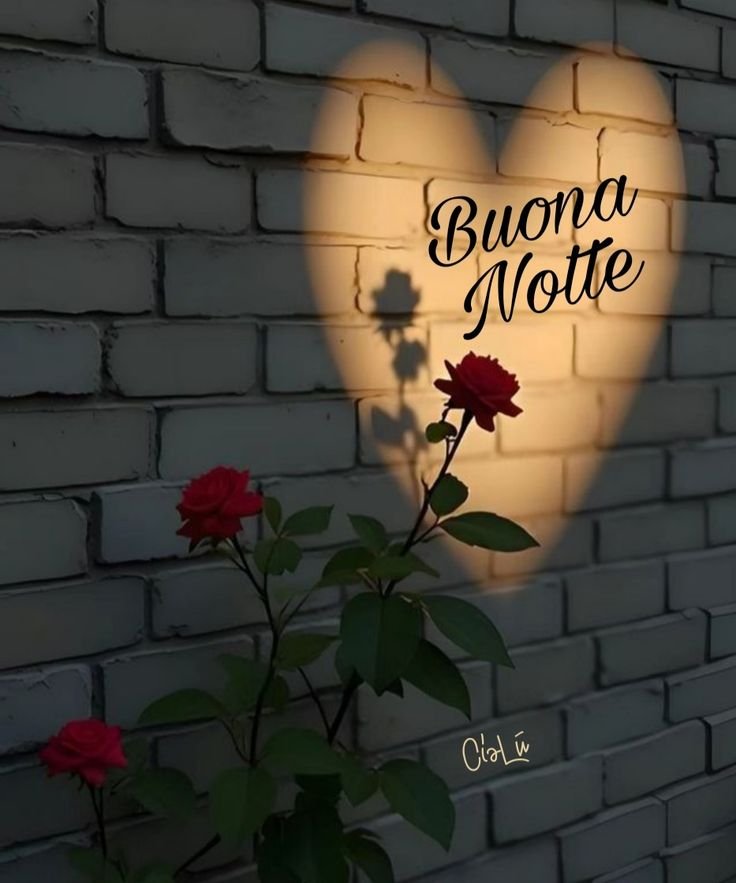 buonanotte fiore