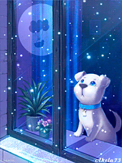 buonanotte immagini cani