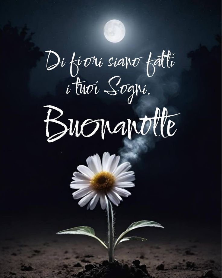 buonanotte immagini romantiche
