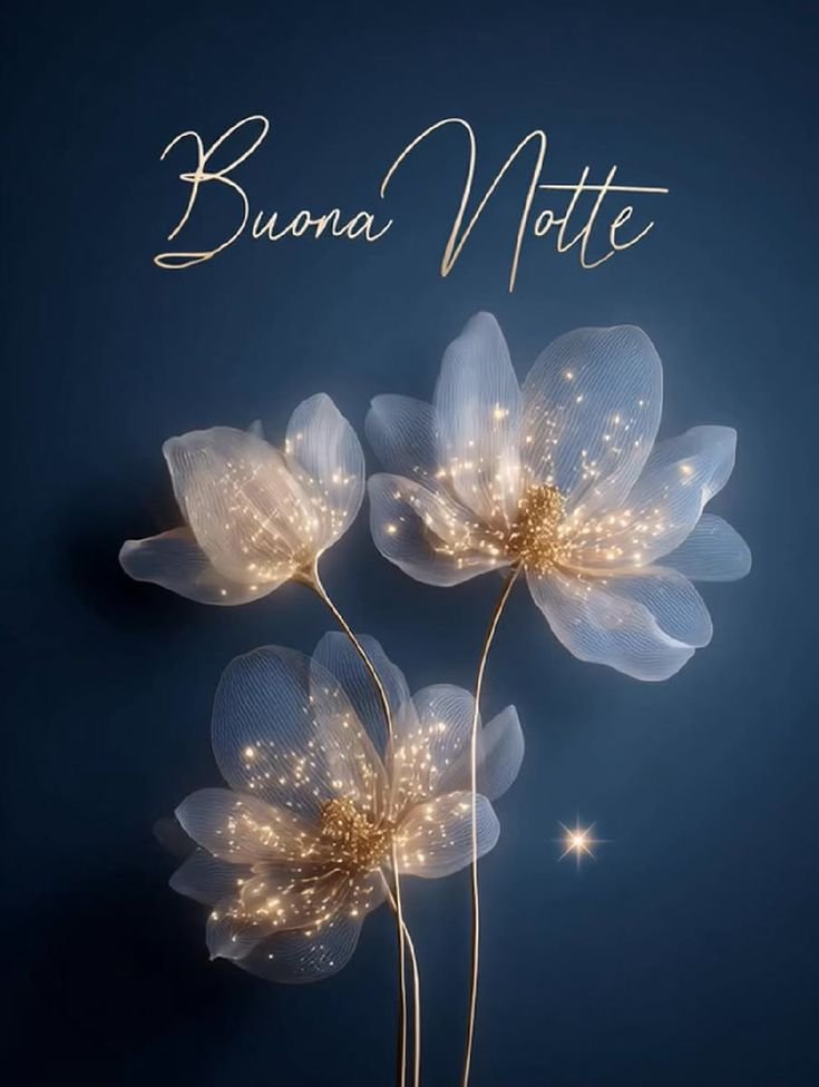 buonanotte immagini ti condivido it