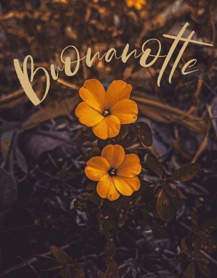 buonanotte immagini vigilia di ferragosto