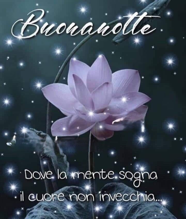 buonanotte massimo