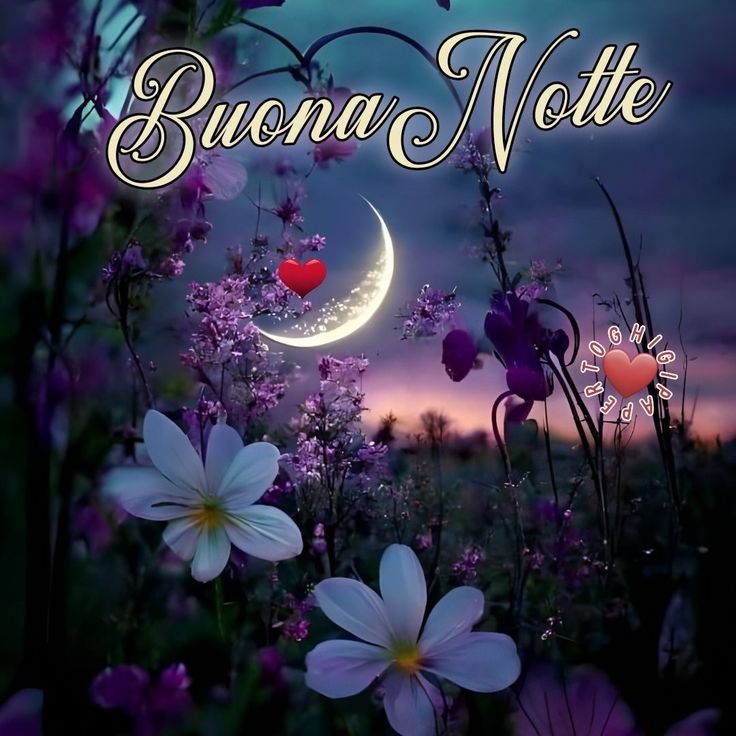 buonanotte sogni d oro a domani divertente