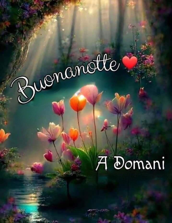cerca immagini buonanotte