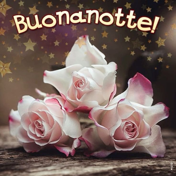 dolce cuore mio immagini buonanotte