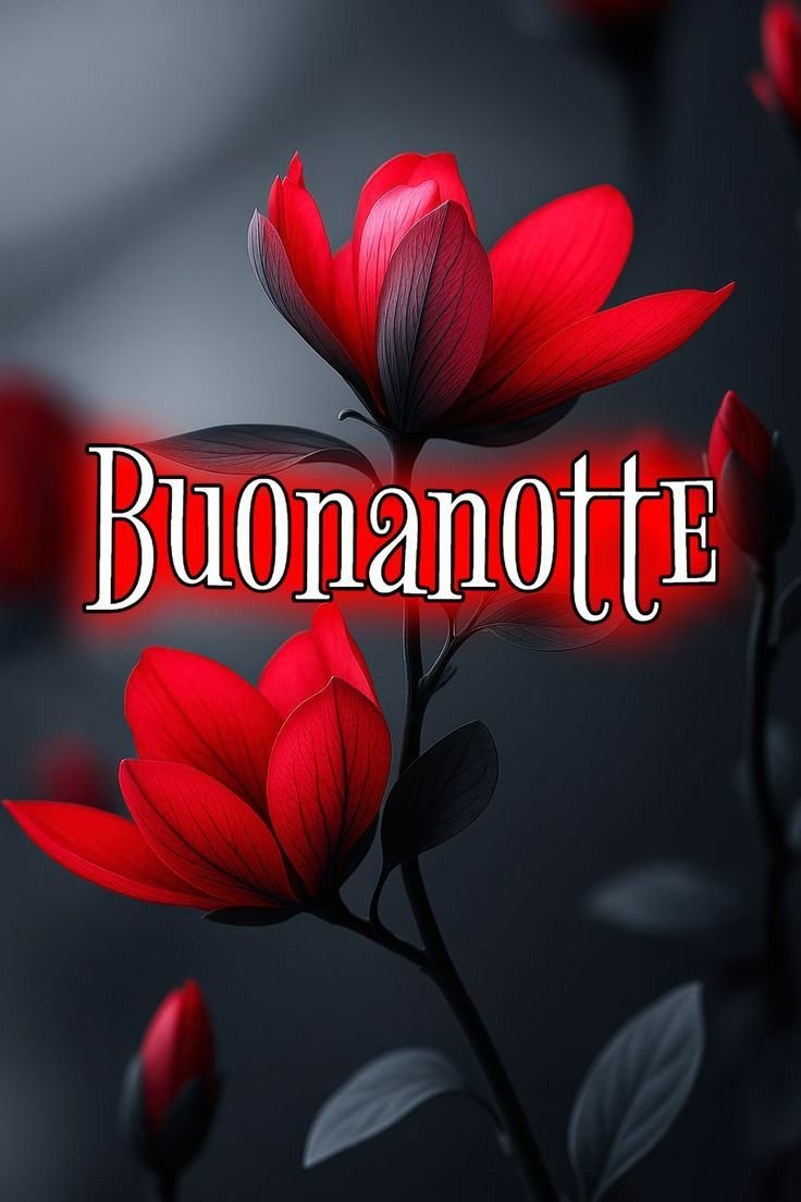 favij buonanotte