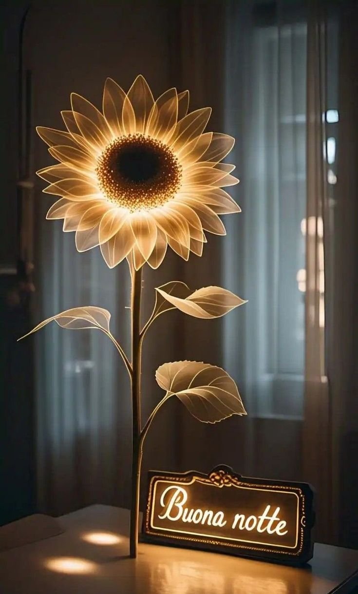 immagini buonanotte dolci sogni