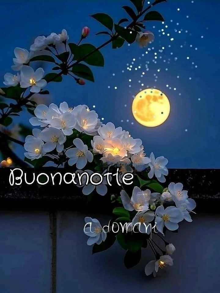 immagini buonanotte gif animate