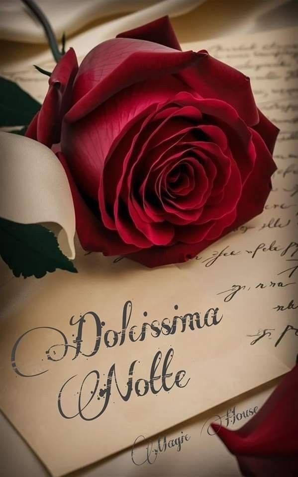 immagini buonanotte notte dolce