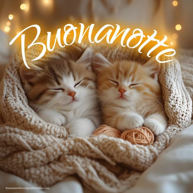immagini buonanotte tom e jerry