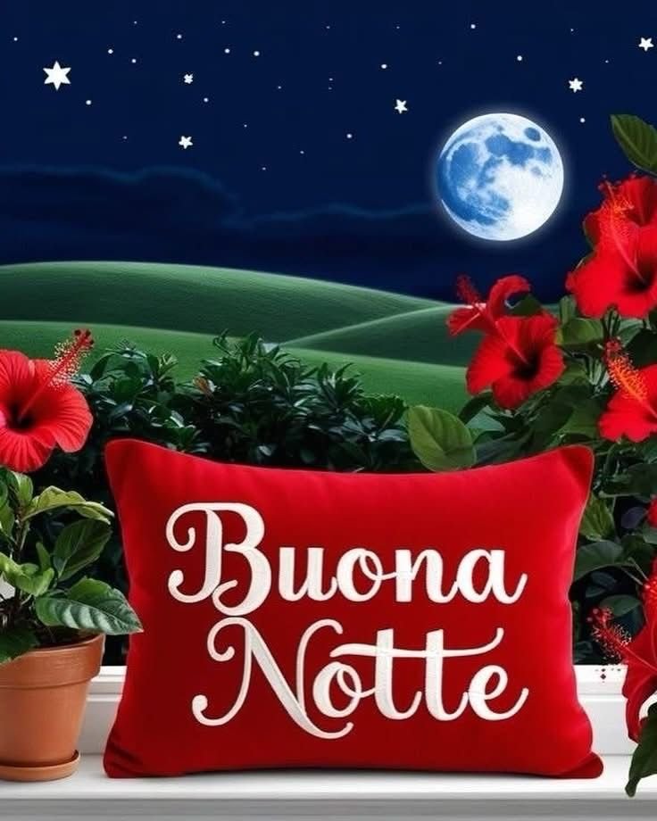 immagini dolci belle romantiche di buonanotte stupenda