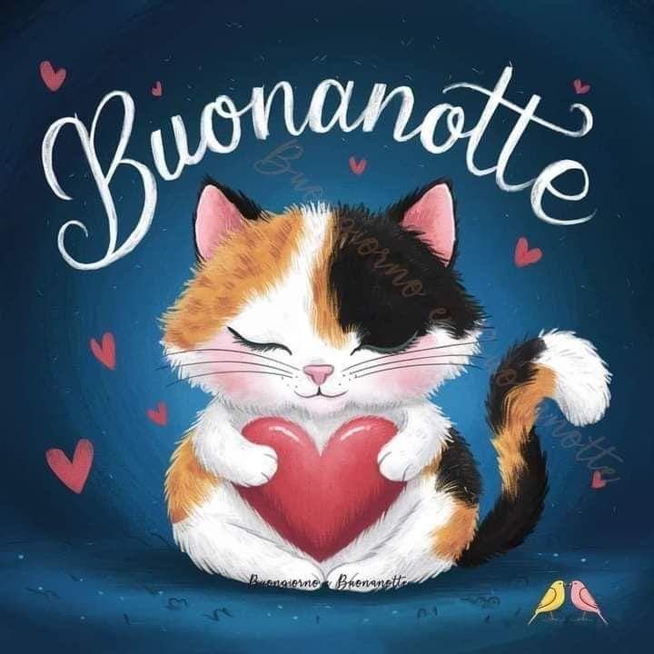 la buonanotte