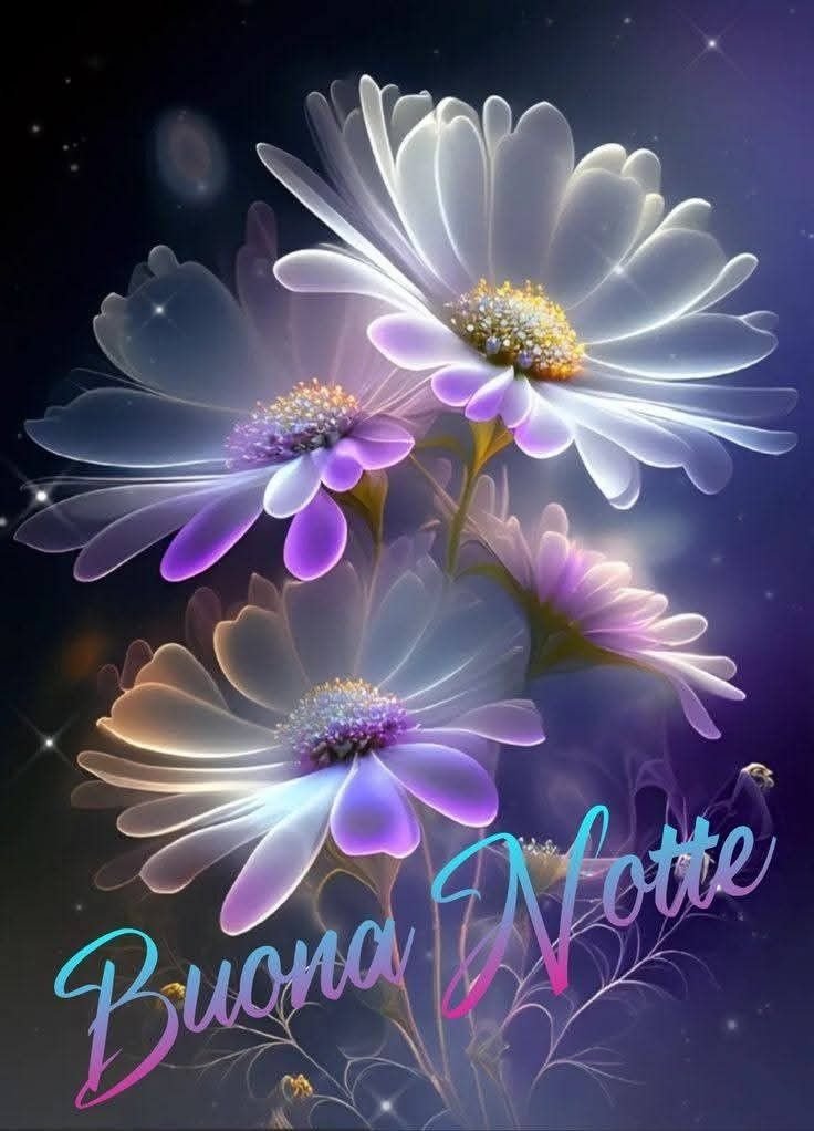 la mia buonanotte a domani