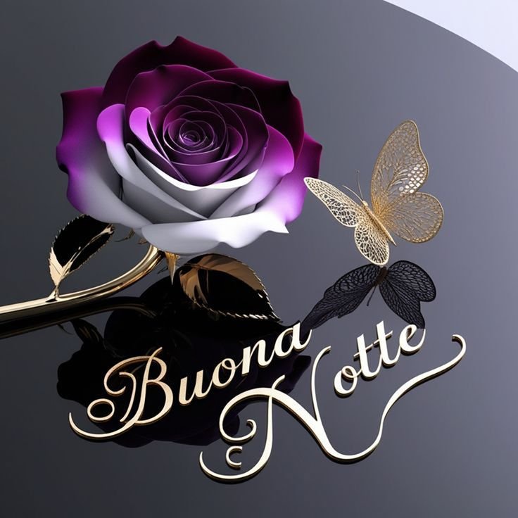 noi per voi buonanotte immagini nuove