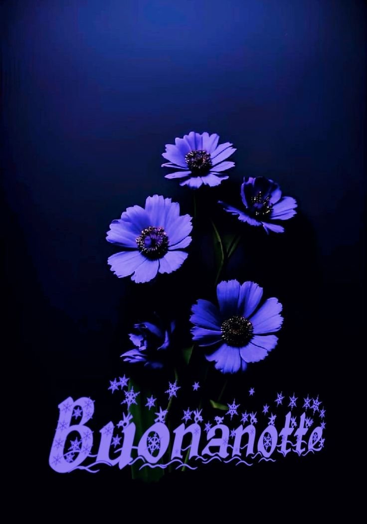 nuovissimo buonanotte immagini recenti divertenti