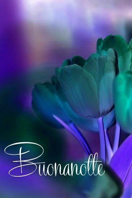 shalom buonanotte immagini nuove