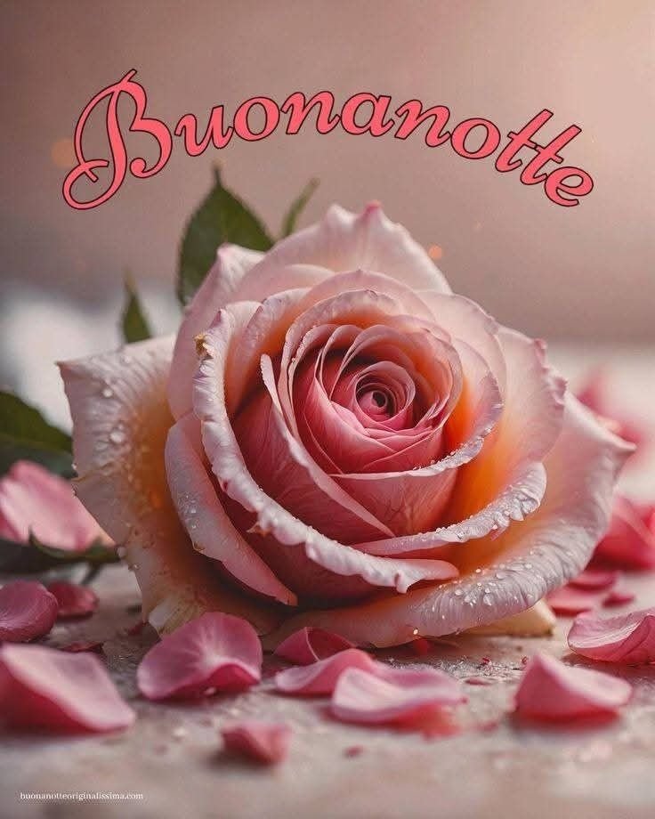 toghigi paper nuovissimo buonanotte immagini recenti gratis per whatsapp