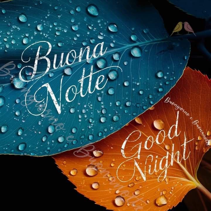 video della buonanotte