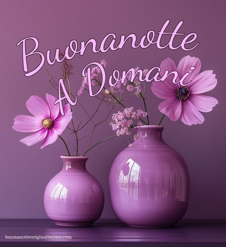 whatsapp nuovissimo originale nuovissimo buonanotte immagini recenti